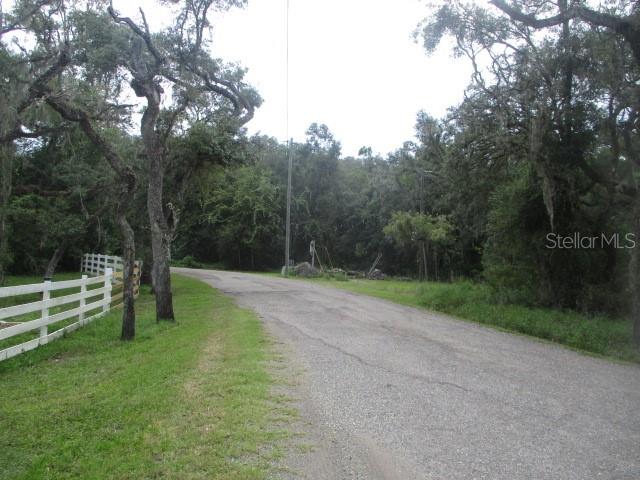 A paved road winds through a wooded area with a white fence on the left — 35236 REYNOLDS STREET, DADE CITY, FL