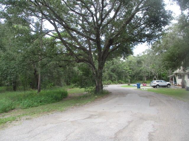 A gravel road winds past a large oak tree toward a house and wooded area — 35236 REYNOLDS STREET, DADE CITY, FL