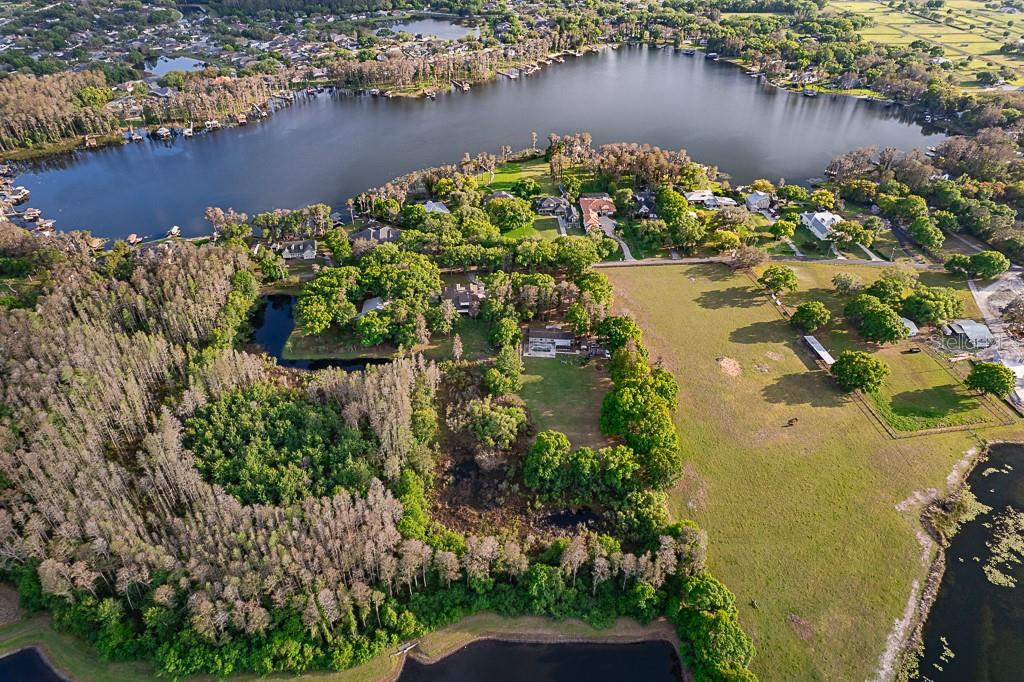 Aerial view of a lakefront property featuring wooded areas, open pastures, and residential homes — 13815 PLAINVIEW ROAD, ODESSA, FL