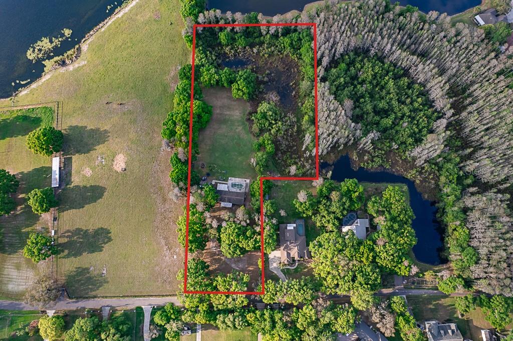 An aerial view shows a residential property with a house, pool, and surrounding wooded land — 13815 PLAINVIEW ROAD, ODESSA, FL