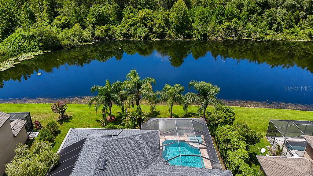 An aerial view shows a house with a screened pool overlooking a lake and trees — 1637 ABYSS DRIVE, ODESSA, FL