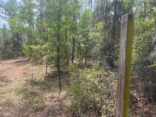 A wooden post stands in the foreground of a wooded lot with a wire fence — 181 WHIRLWIND LOOP, HAWTHORNE, FL
