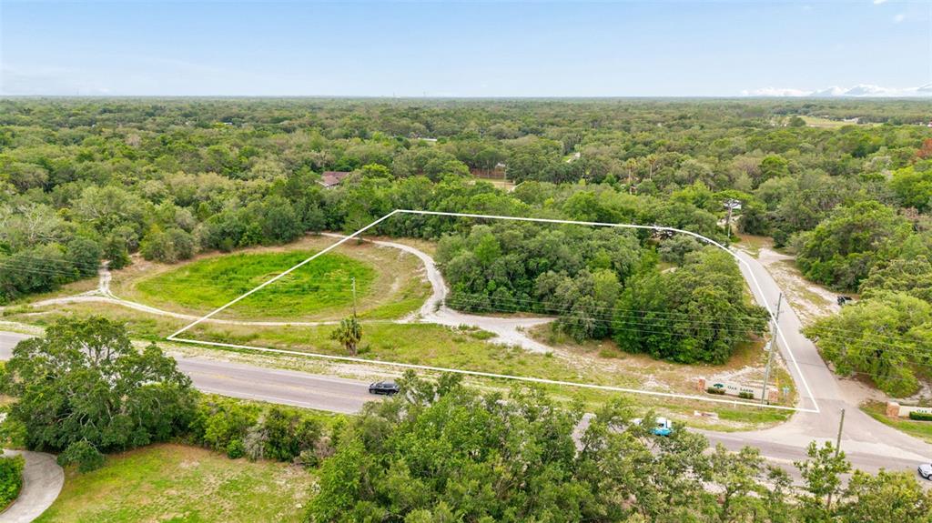 An aerial view shows a vacant, partially wooded lot outlined in white near a road — COUNTY LINE ROAD, SPRING HILL, FL