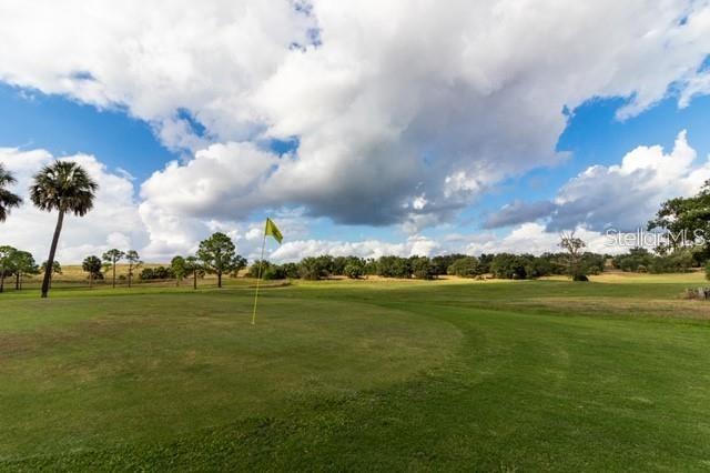 A golf course green with a flag and palm trees under a cloudy blue sky — 1503 S HIGHLAND PARK DRIVE, LAKE WALES, FL