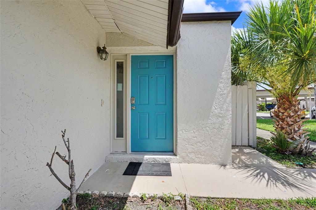 A single-story house with a blue front door, a flat roof, and a palm tree — 1502 16TH CIRCLE SE, LARGO, FL