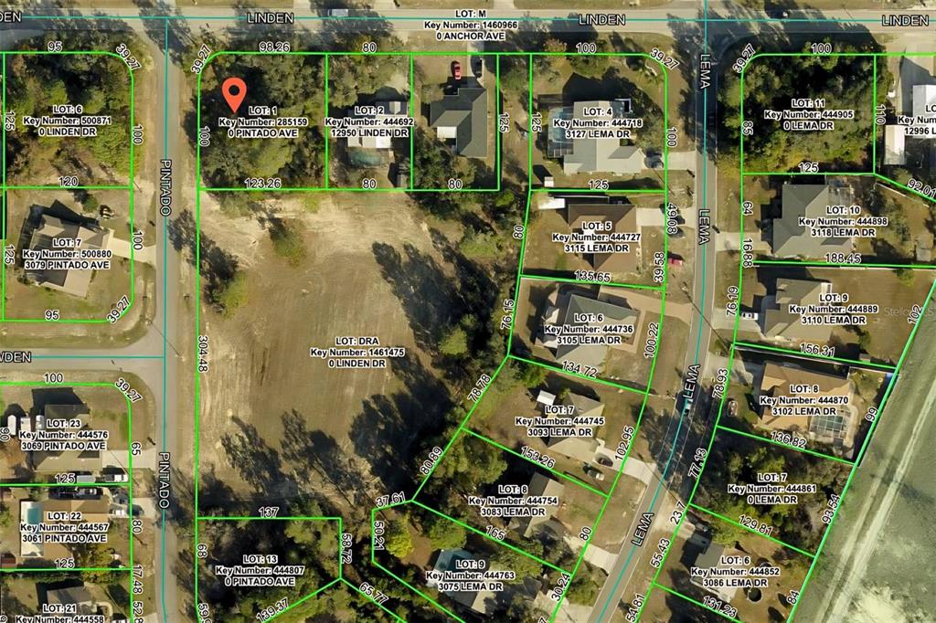 3098 PINTADO AVENUE, SPRING HILL, FL — photo 3 of 4
