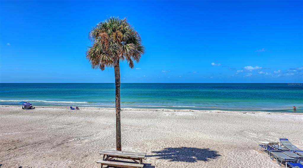 3453 GULF OF MEXICO DRIVE UNIT 237, LONGBOAT KEY, FL — photo 3 of 25