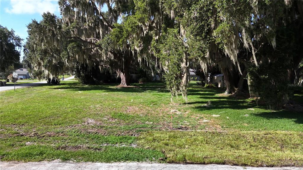 A vacant, grassy lot is shaded by several large trees draped in Spanish moss — LAKESIDE DRIVE, YALAHA, FL