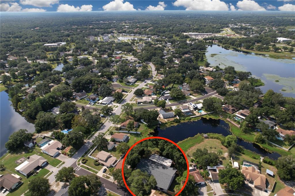 1413 WINDJAMMER LOOP, LUTZ, FL — photo 5 of 30