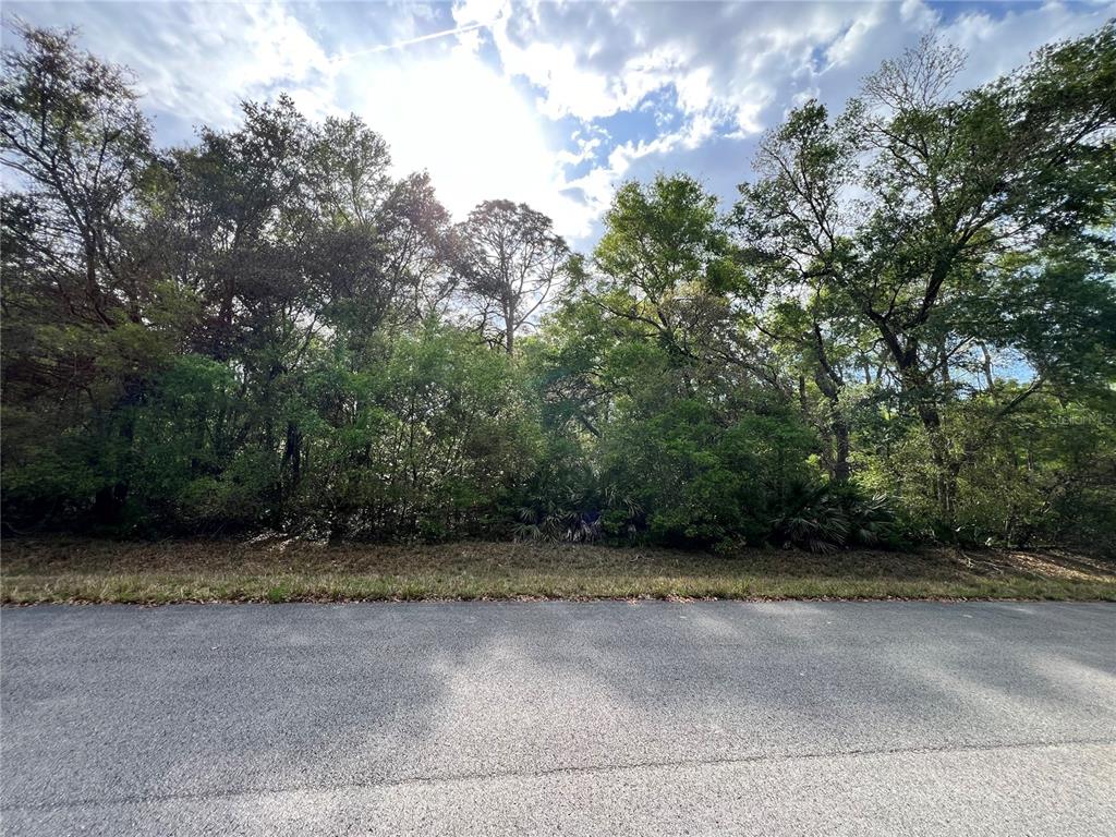 A paved road runs in front of a dense, wooded lot under a cloudy sky — NW 74TH COURT UNIT 111, CHIEFLAND, FL