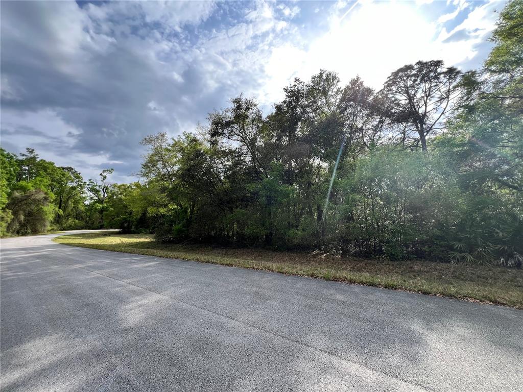 A paved road curves past a dense, wooded lot under a bright, cloudy sky — NW 74TH COURT UNIT 111, CHIEFLAND, FL
