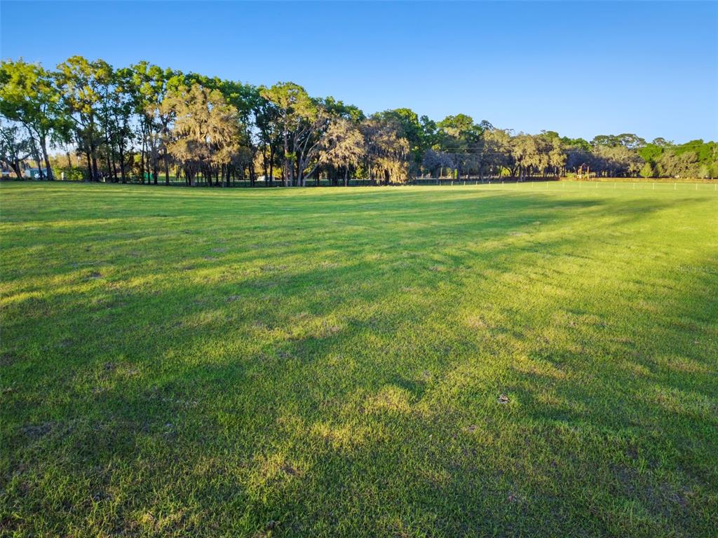 A large, flat, grassy field is bordered by a line of mature trees — 0 W CR 476, BUSHNELL, FL