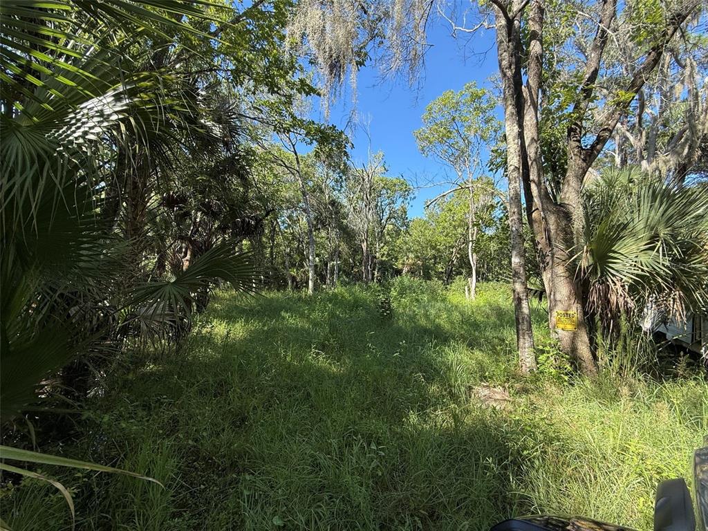 1785 MAPLEWOOD DRIVE, EDGEWATER, FL — photo 3 of 4