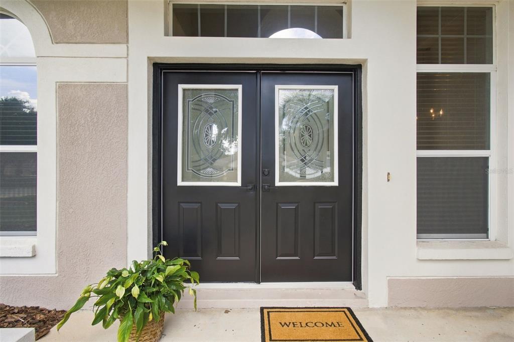 A black double front door with decorative glass inserts sits beneath a transom window — 10260 SHADOW BRANCH DRIVE, TAMPA, FL
