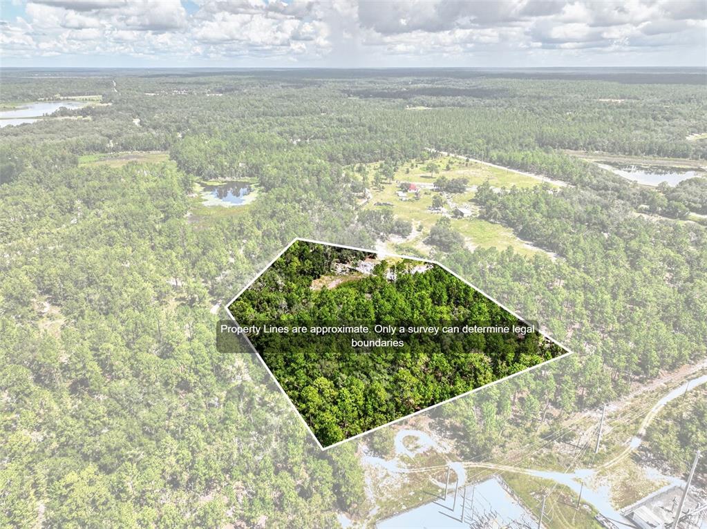 0 LAKE RAY ROAD, HAWTHORNE, FL — photo 2 of 30