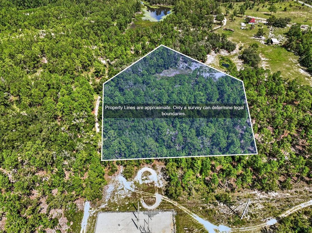 0 LAKE RAY ROAD, HAWTHORNE, FL — photo 3 of 30