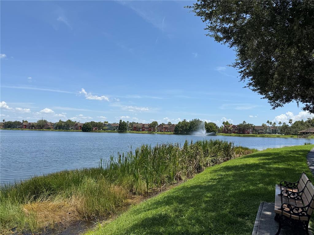 A park bench sits on a grassy bank overlooking a lake with a water fountain — 9288 LAKE CHASE ISLAND WAY, TAMPA, FL