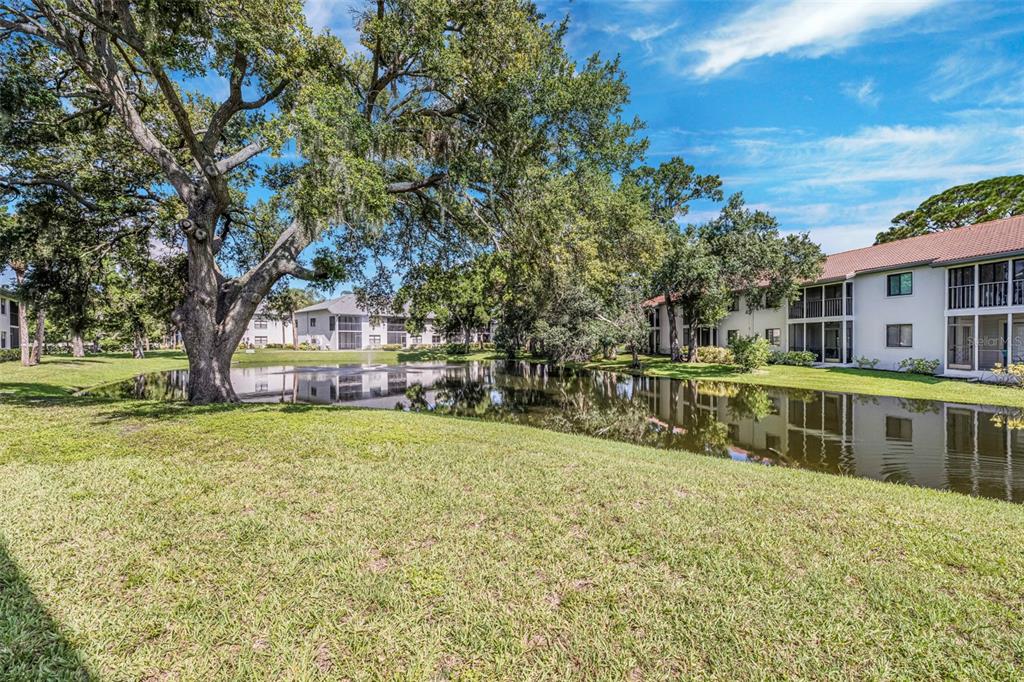 A grassy lawn leads to a pond reflecting large oak trees and multi-story apartment buildings — 4520 47TH AVENUE W UNIT 103, BRADENTON, FL