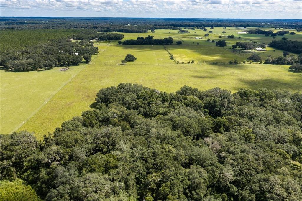 SE 215TH AVENUE, MORRISTON, FL — photo 4 of 27