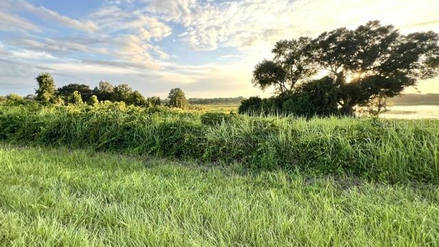 TBD OAK LANE DRIVE, OCALA, FL — photo 2 of 2
