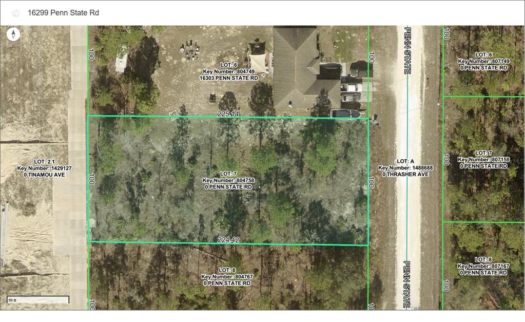 16299 PENN STATE ROAD, WEEKI WACHEE, FL — photo 3 of 7