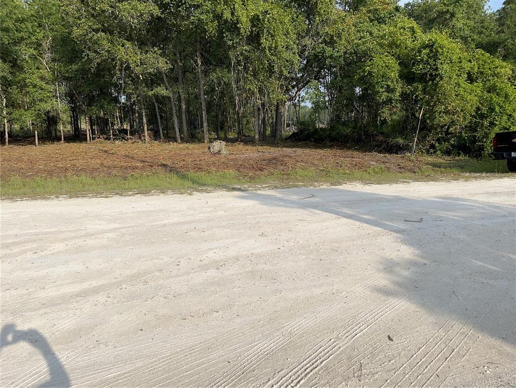 A cleared, sandy lot sits in front of a dense line of trees — 7123 GLENCHESTER DRIVE, WEBSTER, FL