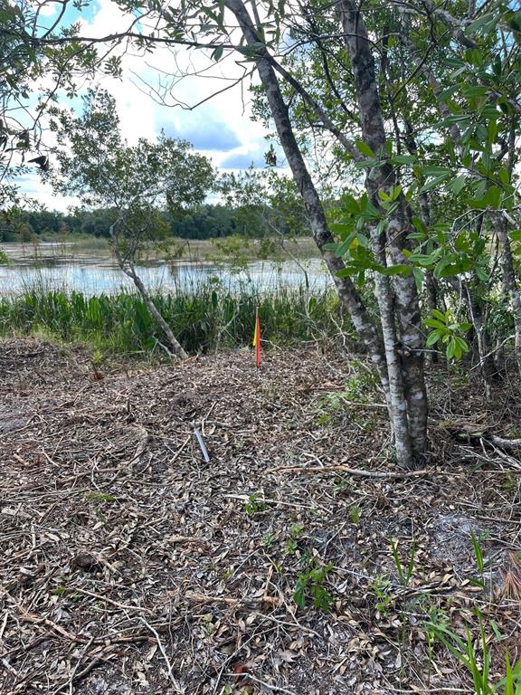 A wooded area with a small orange flag overlooks a marshy body of water — 7123 GLENCHESTER DRIVE, WEBSTER, FL