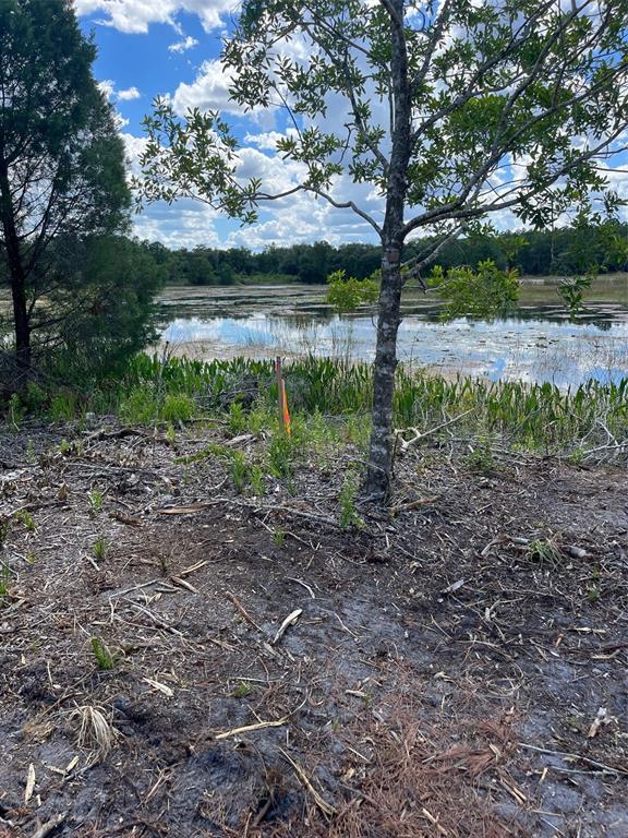 A view of a lake from a clearing with a tree and a survey marker — 7123 GLENCHESTER DRIVE, WEBSTER, FL