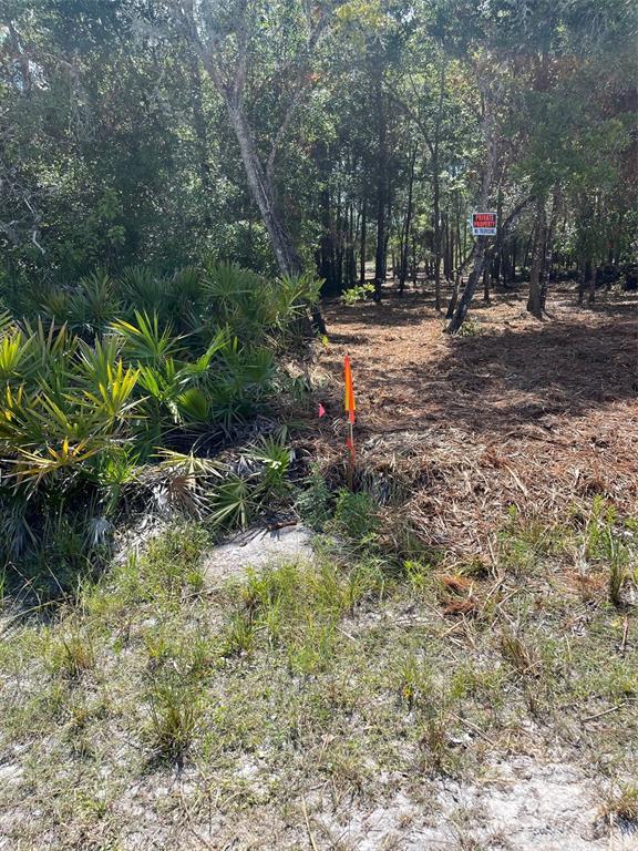 A wooded lot features a survey marker and a private property sign — 7123 GLENCHESTER DRIVE, WEBSTER, FL