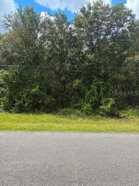 5177 CULBREATH ROAD, BROOKSVILLE, FL — photo 2 of 3