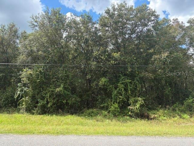 5177 CULBREATH ROAD, BROOKSVILLE, FL — photo 3 of 3