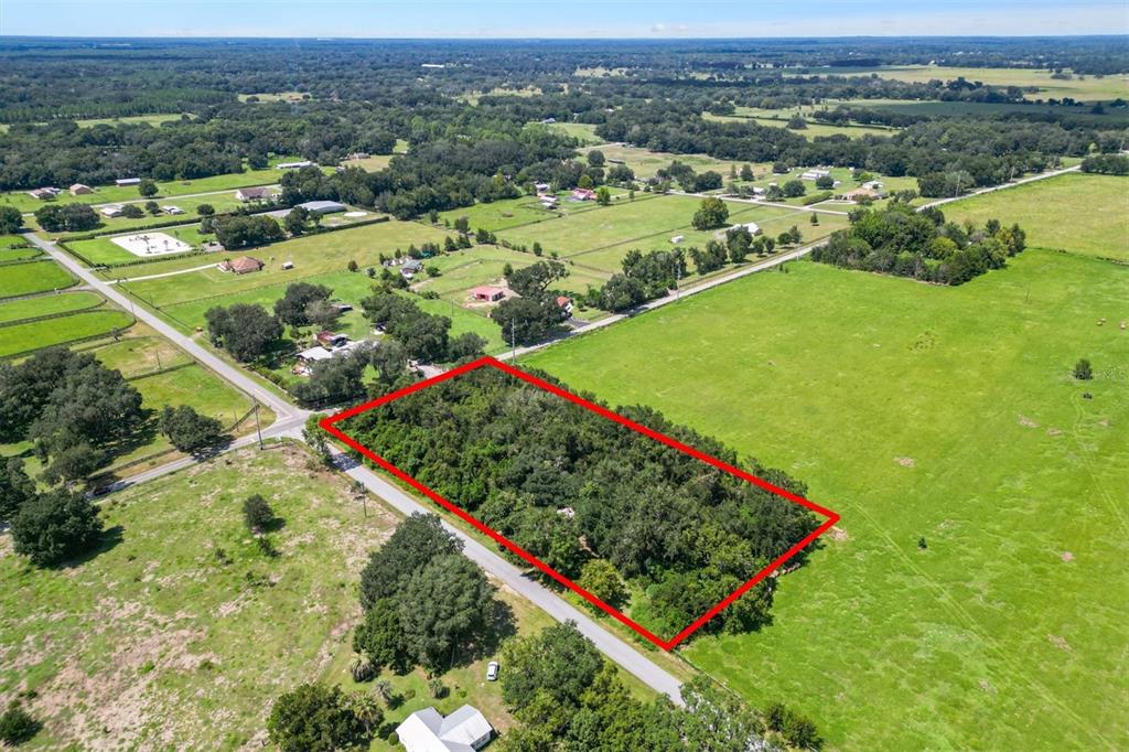 3076 COUNTY ROAD 202, OXFORD, FL — photo 3 of 6