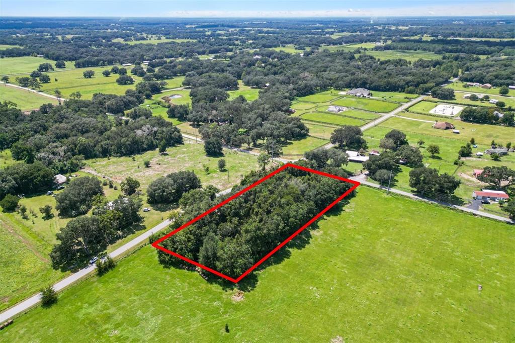 3076 COUNTY ROAD 202, OXFORD, FL — photo 4 of 6