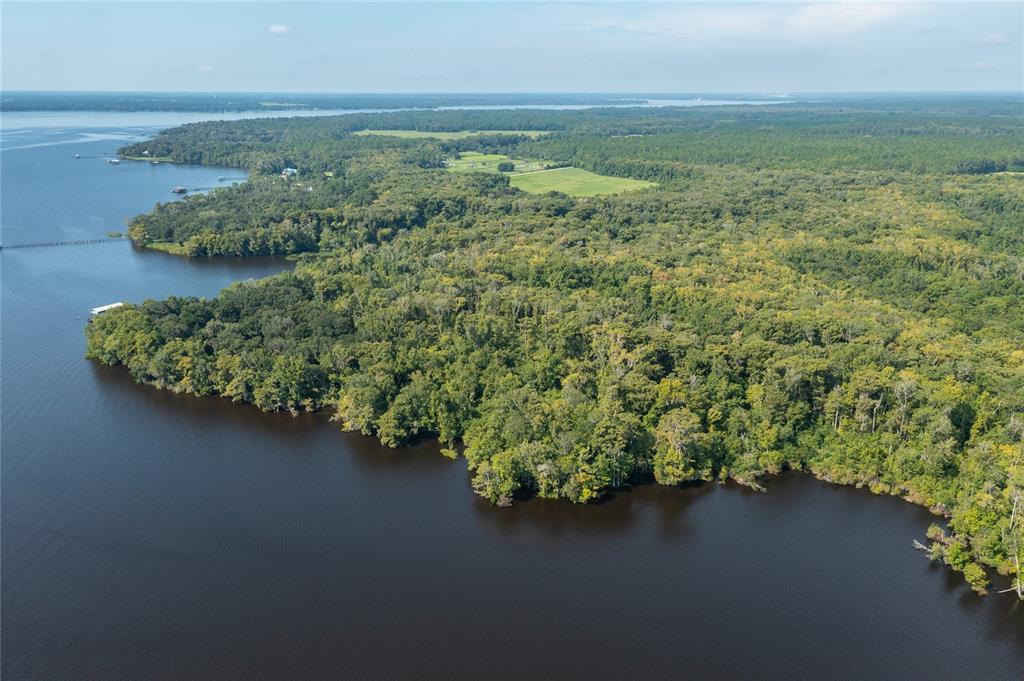 An aerial view shows a dense forest bordering a large body of water — 254 ST JOHNS DRIVE, PALATKA, FL