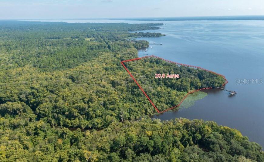 An aerial view shows a wooded 20.6-acre waterfront property outlined in red — 254 ST JOHNS DRIVE, PALATKA, FL