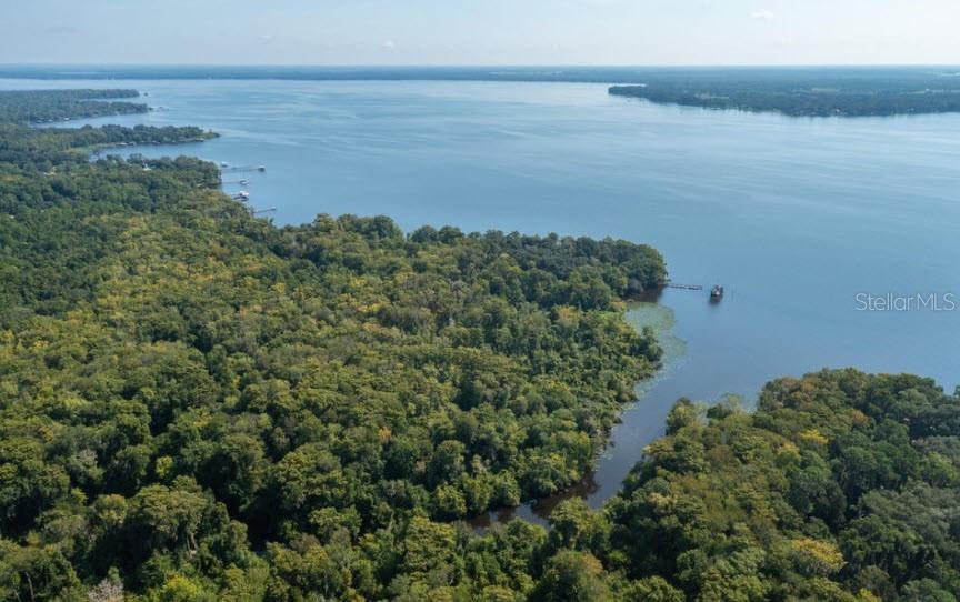 An aerial view shows a dense forest bordering a large lake with a small boat — 254 ST JOHNS DRIVE, PALATKA, FL