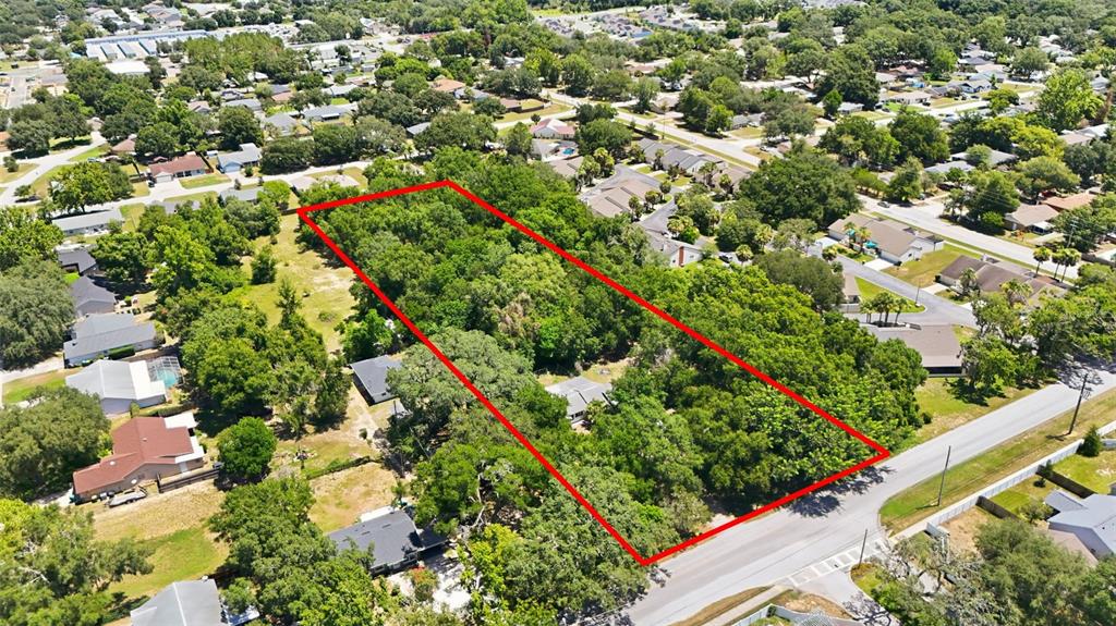 An aerial view shows a rectangular, tree-covered lot outlined in red next to a road — 2675 E WASHINGTON AVENUE, EUSTIS, FL