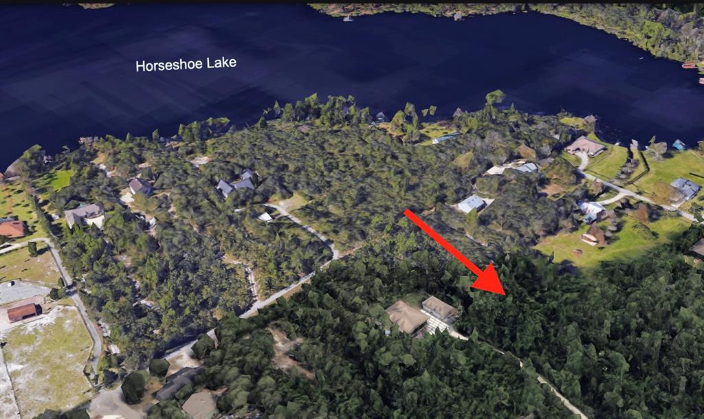 An aerial view shows a wooded residential lot near Horseshoe Lake with a red arrow pointing — 9TH AVENUE, CHULUOTA, FL