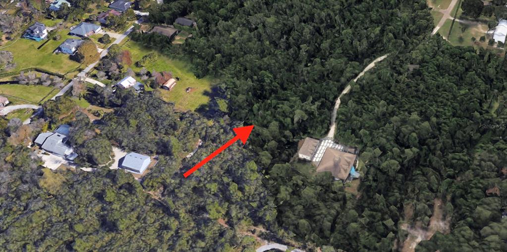 This aerial view shows a residential property with a house surrounded by dense forest — 9TH AVENUE, CHULUOTA, FL