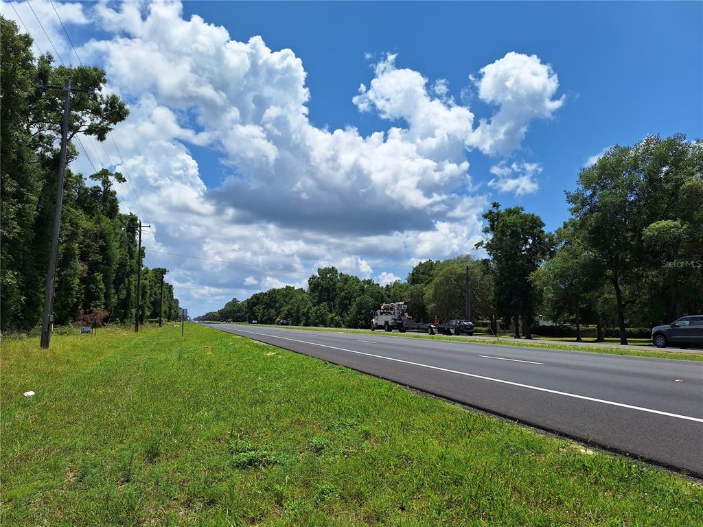 A view of a paved road bordered by a grassy shoulder and dense trees — TBD N HWY 19, CHIEFLAND, FL