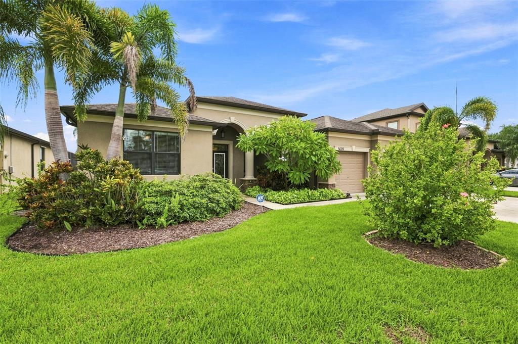 A single-story house with a tan stucco exterior, a palm tree, and a manicured lawn — 5009 JAGGED CLOUD DRIVE, WIMAUMA, FL