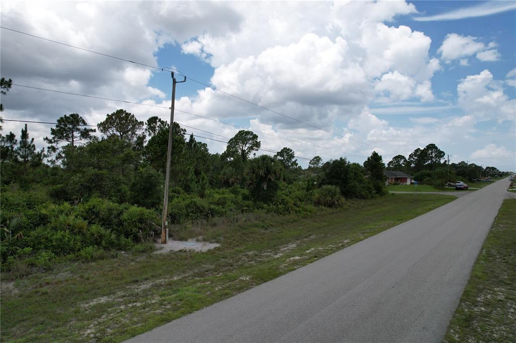 A paved road runs alongside a wooded, undeveloped lot with a utility pole — 1056 JAGUAR BOULEVARD, LEHIGH ACRES, FL