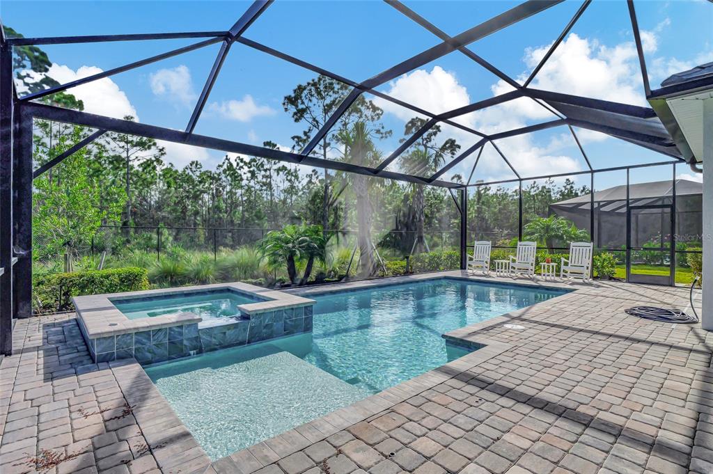 A screened-in swimming pool and spa with a paver patio and views of woods — 14257 BLUE BAY CIRCLE, FORT MYERS, FL