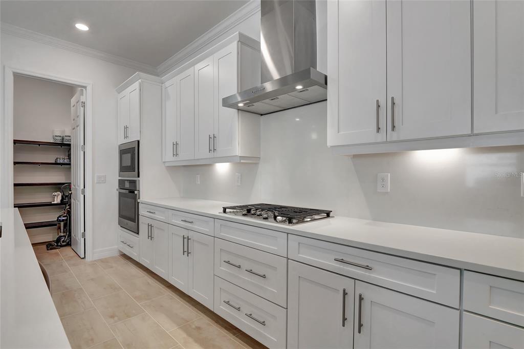 A modern kitchen features white cabinets, a gas cooktop, stainless steel hood, and a walk-in pantry — 14257 BLUE BAY CIRCLE, FORT MYERS, FL