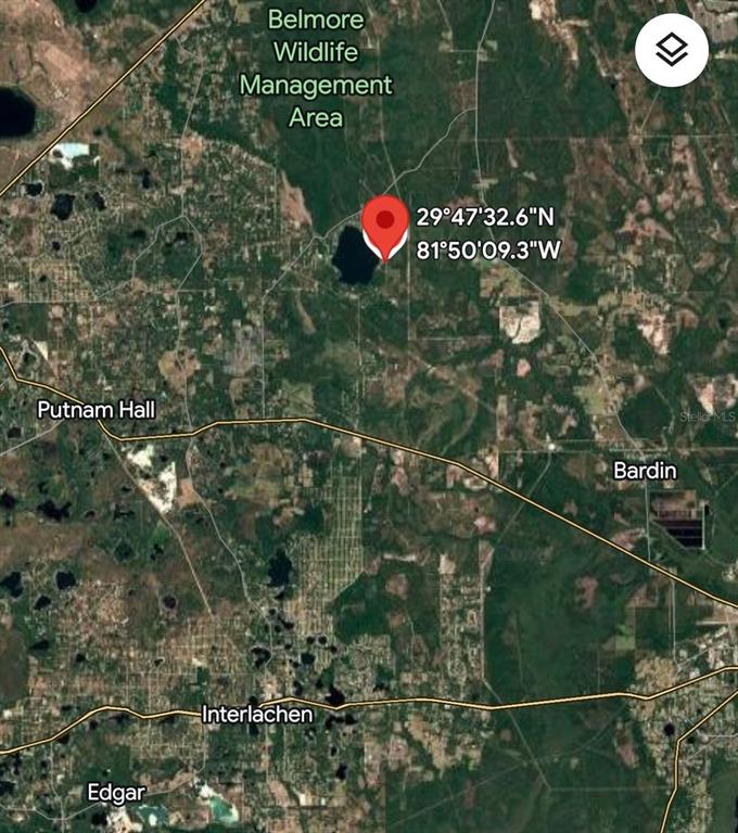 This is a satellite map showing a location pin near the Belmore Wildlife Management Area — 905 E HILLSBOROUGH AVENUE, FLORAHOME, FL