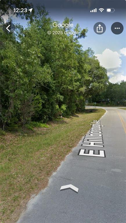 A paved road runs alongside a dense, wooded area with green trees and grass — 905 E HILLSBOROUGH AVENUE, FLORAHOME, FL