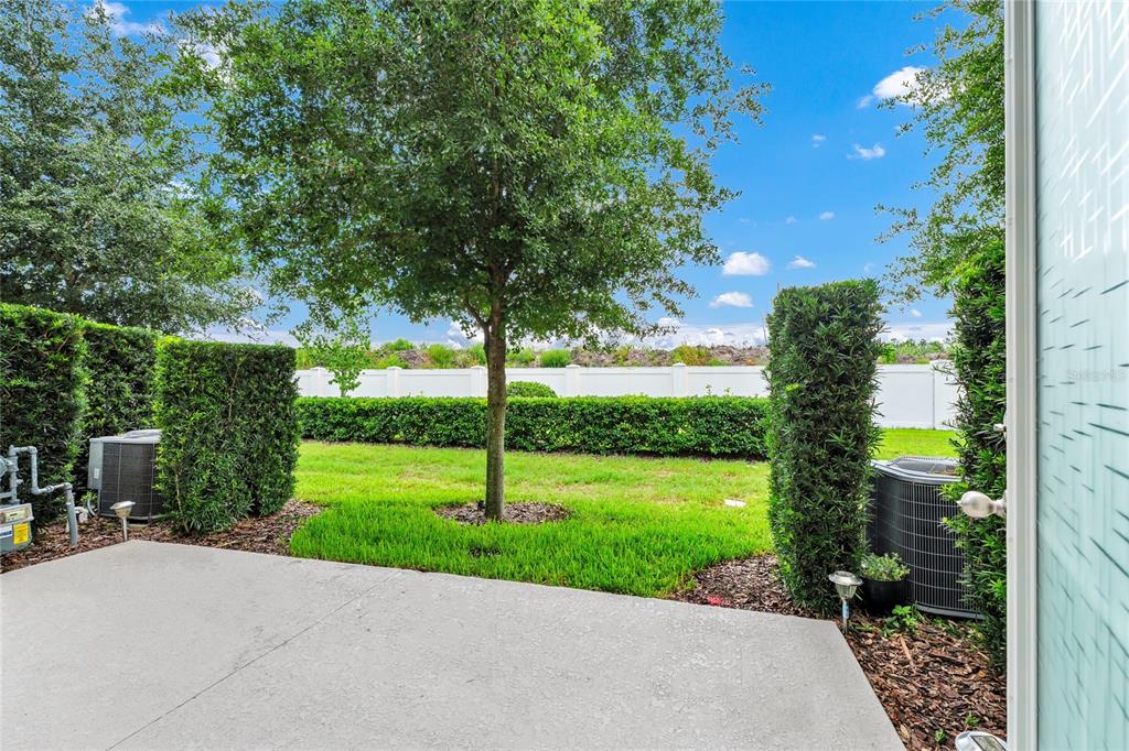 A concrete patio overlooks a grassy backyard with a tree and a white privacy fence — 785 BENOI DRIVE, DAVENPORT, FL