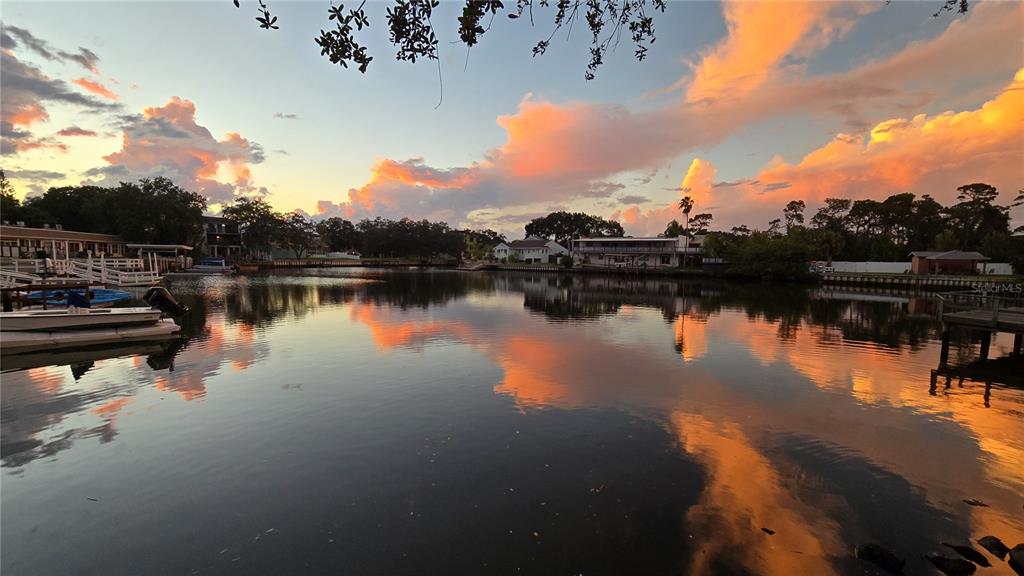 An outdoor walkway with a black metal railing overlooks a grassy lawn and a lake — 4805 ALT 19 UNIT 624, PALM HARBOR, FL
