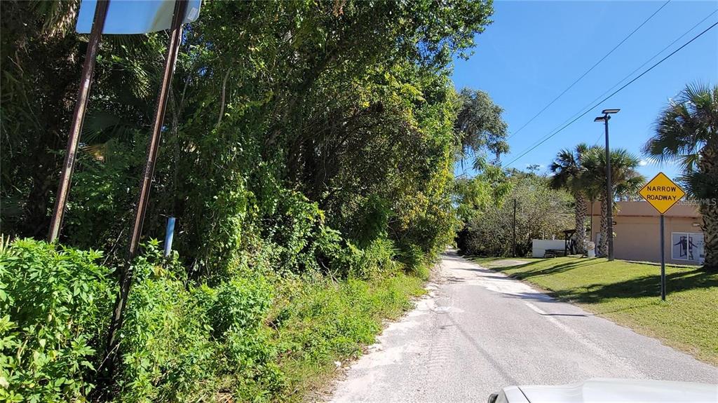 A narrow paved road runs past a dense wooded area and a residential building — LAKEVIEW STREET, DELAND, FL