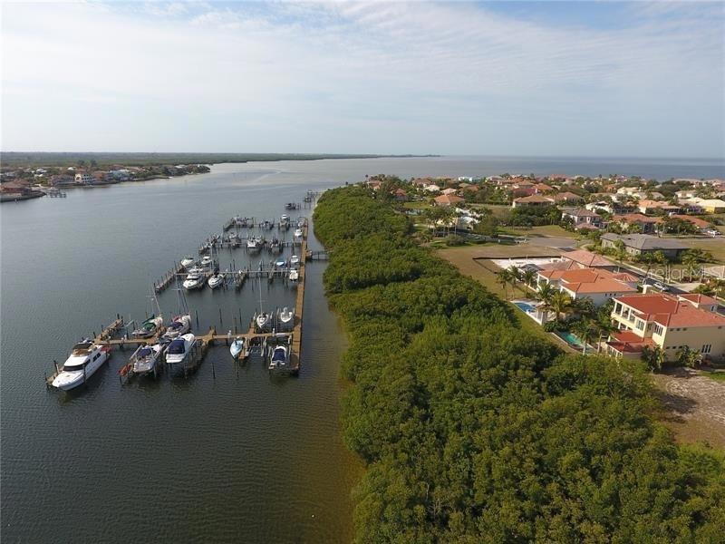 An aerial view shows a marina with docked boats next to a dense mangrove forest — 6451 RUBIA CIRCLE, APOLLO BEACH, FL